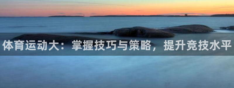 尊龙官方正版app新能源：体育运动大：掌握技巧与策略