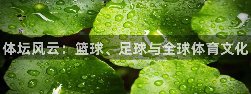 尊龙官网下载平台假的吗是真的吗：体坛风云：篮球、足球