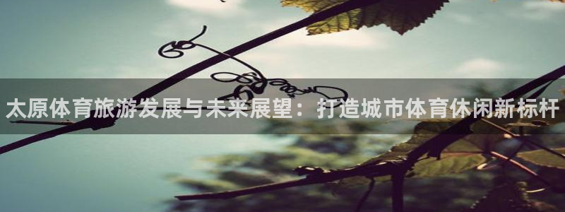 尊龙官网下载招商电话地址是多少：太原体育旅游发展与未