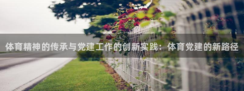 尊龙官方正版app娱乐首页官网下载：体育精神的传承与