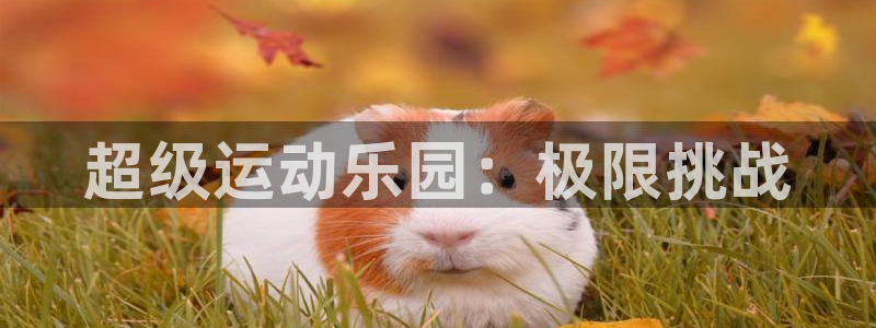 尊龙官方正版app娱乐网站：超级运动乐园：极限挑战