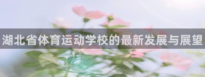 尊龙官方正版app娱乐：湖北省体育运动学校的最新发展