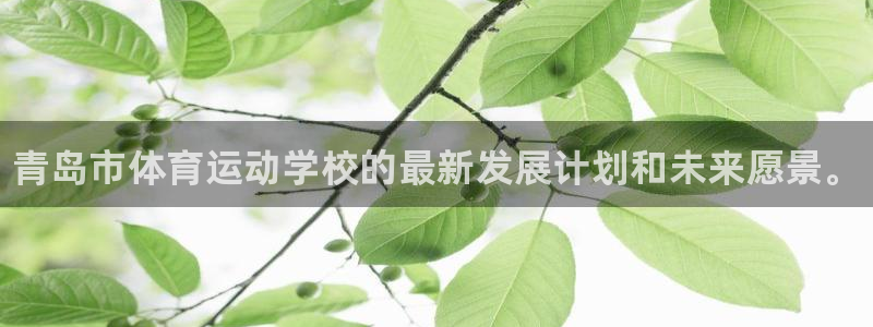 尊龙官网下载平台假的吗是真的吗吗：青岛市体育运动学校