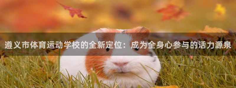 尊龙官方正版app科技：遵义市体育运动学校的全新定位