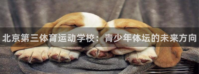 尊龙官网下载平台APP：北京第三体育运动学校：青少年