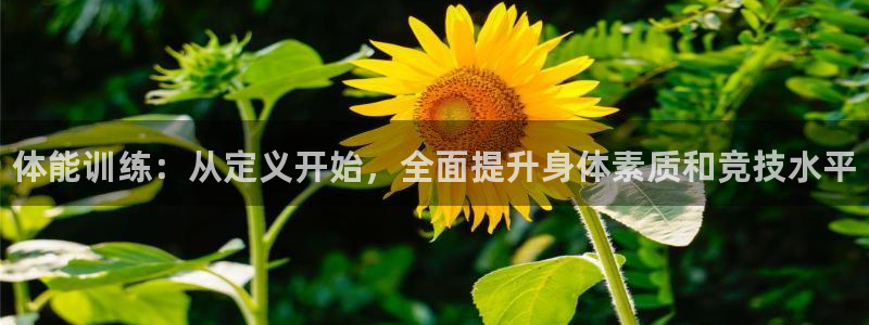 尊龙官方正版app官方：体能训练：从定义开始，全面提升身体素