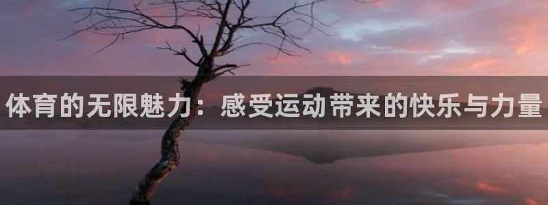 尊龙官方正版app官方：体育的无限魅力：感受运动带来
