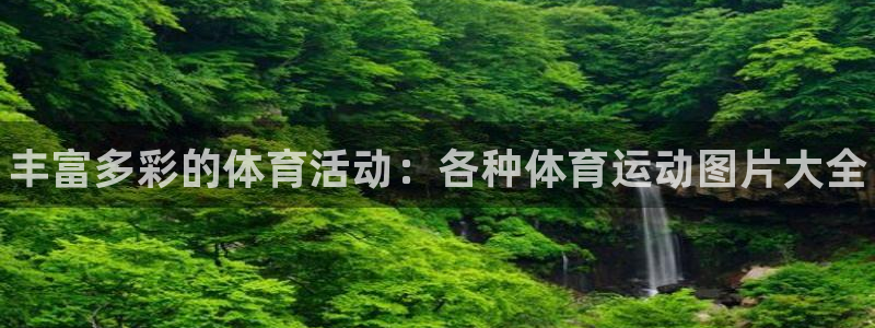 尊龙官网下载招商电话：丰富多彩的体育活动：各种体育运