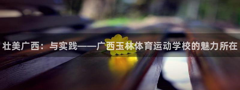 尊龙官网下载招商电话号码查询是多少：壮美广西：与实践