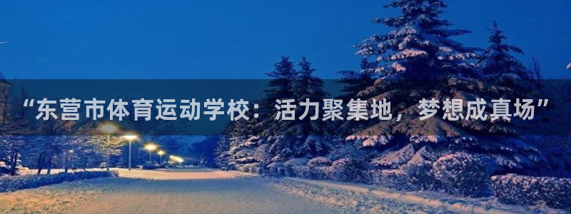 尊龙官网下载是干嘛的公司：“东营市体育运动学校：活力
