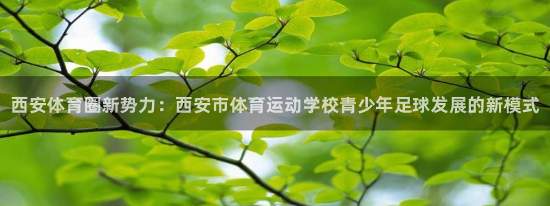 尊龙官方正版app集团官网首页网址：西安体育圈新势力