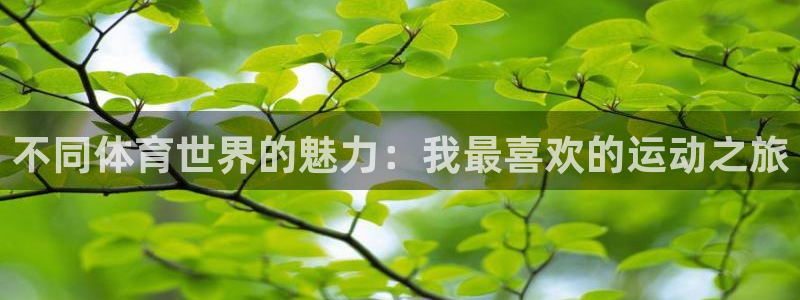 尊龙官网下载：不同体育世界的魅力：我最喜欢的运动之旅