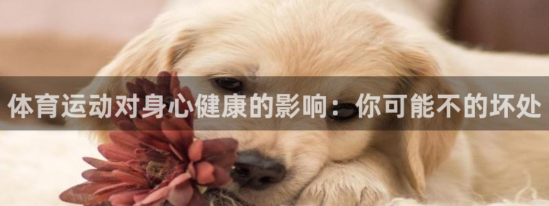 尊龙官网下载招商电话地址：体育运动对身心健康的影响：