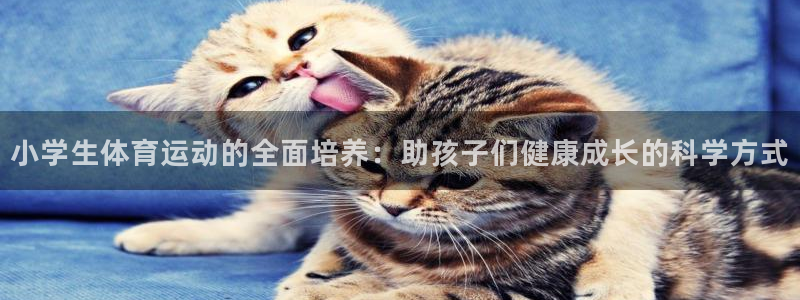 尊龙官网下载平台是正规平台吗知乎：小学生体育运动的全面培养：