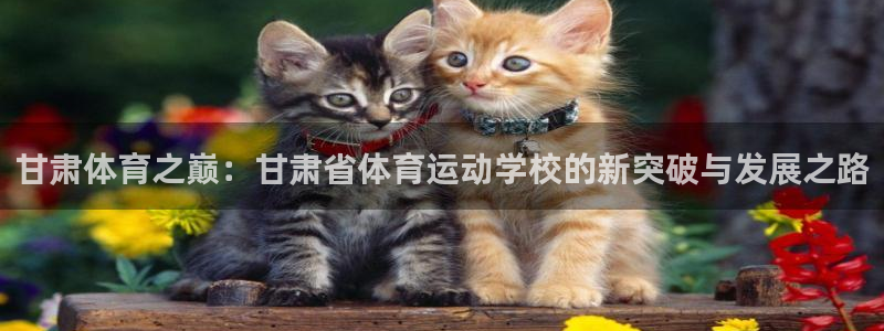 尊龙官网下载招商电话号码查询是多少：甘肃体育之巅：甘