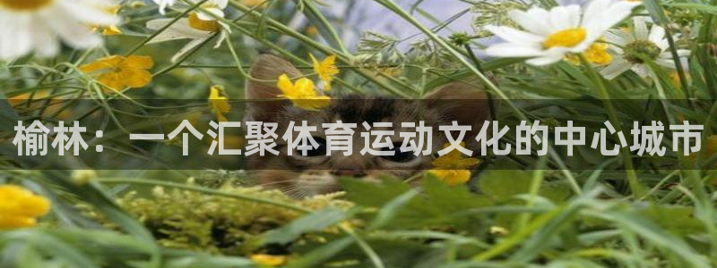 尊龙官网下载招商电话是多少啊：榆林：一个汇聚体育运动文化的中