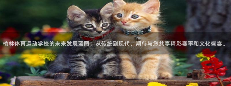 尊龙官方正版app官方：榆林体育运动学校的未来发展蓝图：从传