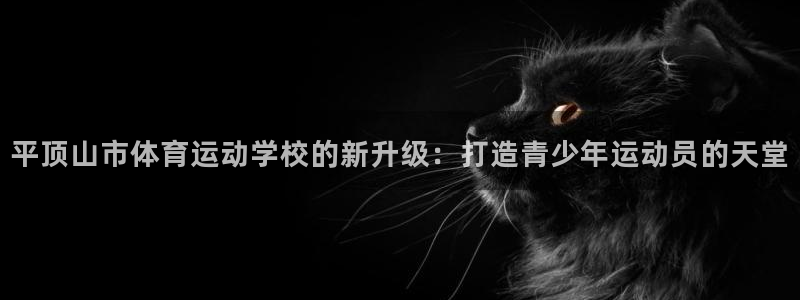 尊龙官方正版app集团logo：平顶山市体育运动学校的新升级