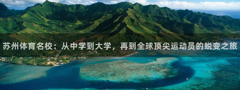 尊龙官方正版app娱乐首页网站大全