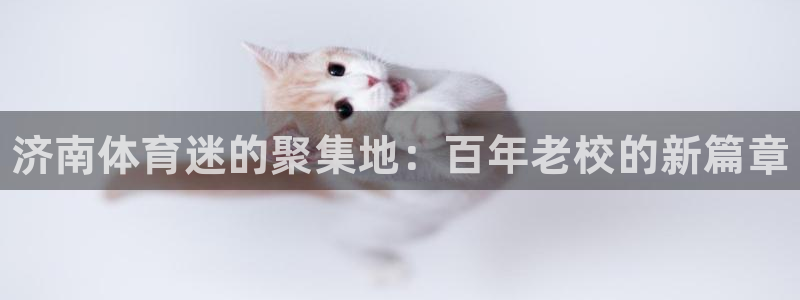 尊龙官方正版app集团logo