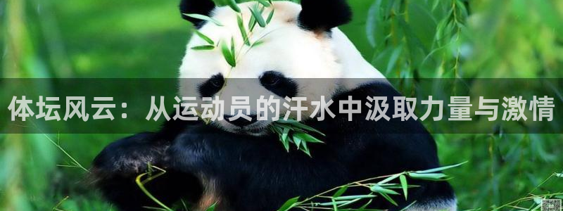 尊龙官网下载招商电话号码查询