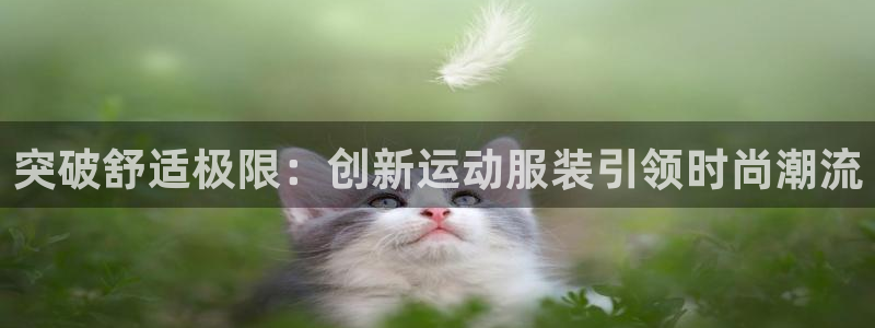 尊龙官方正版app官网：突破舒适极限：创新运动服装引