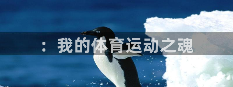 尊龙官网下载招商