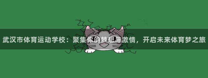 尊龙官网下载招商电话是多少啊：武汉市体育运动学校：聚