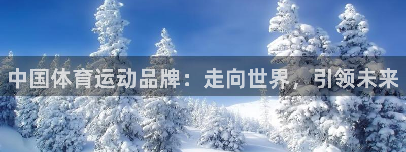 尊龙官方正版app官方：中国体育运动品牌：走向世界，引领未来