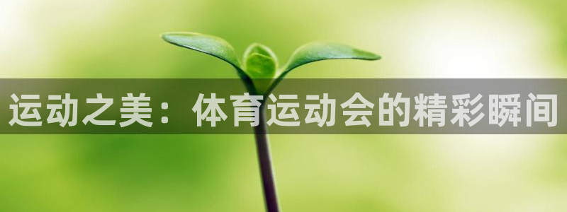尊龙官方正版app开户：运动之美：体育运动会的精彩瞬间