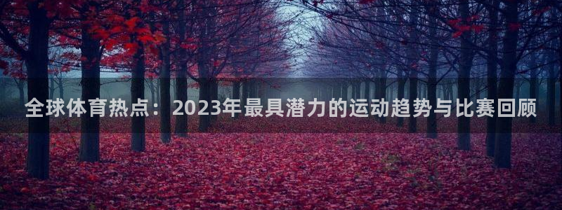 尊龙官网下载平台注册要钱吗安全吗：全球体育热点：2023年最
