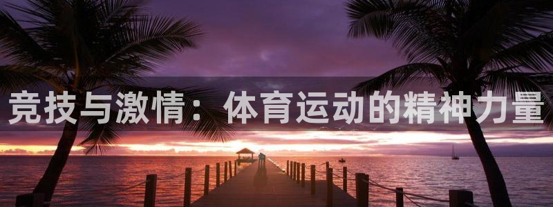 尊龙官网下载招商电话：竞技与激情：体育运动的精神力量
