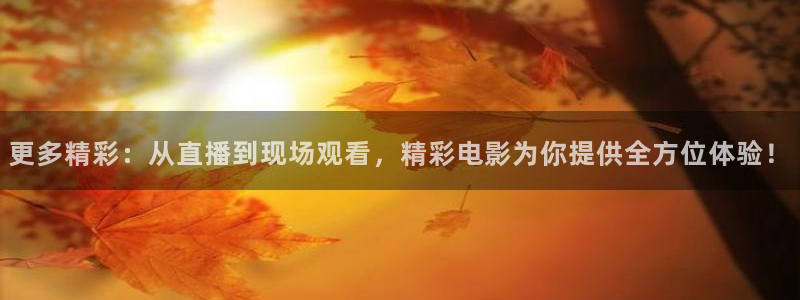 飞速nba免费直播