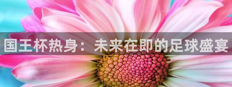 高速飞速体育直播