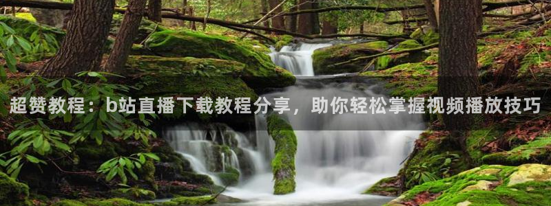 飞速直播nba在线观看：超赞教程：b站直播下载教程分享，助你轻松掌握视频播放技巧