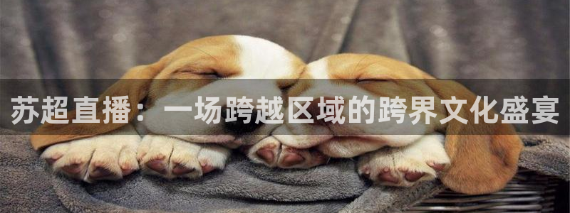 飞速体育免费直播