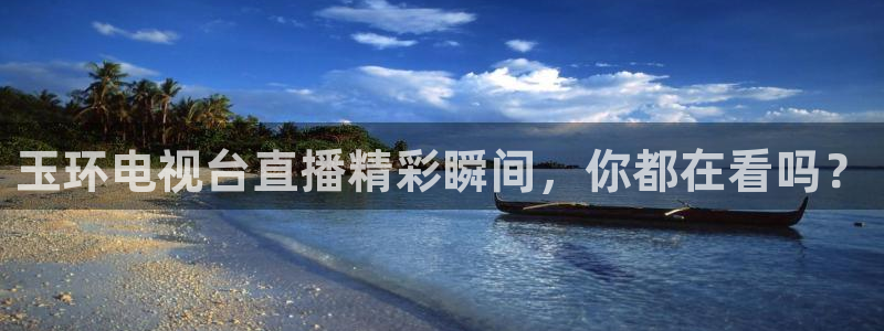 飞速直播体育app