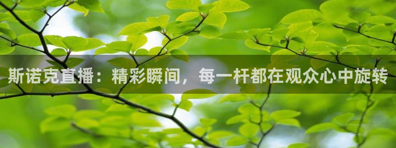 飞速直播jrs