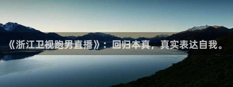 飞速直播体育在线观看