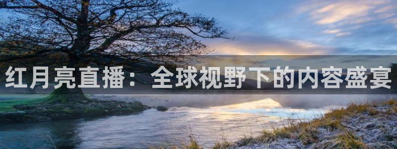飞速体育直播无插件：红月亮直播：全球视野下的内容盛宴