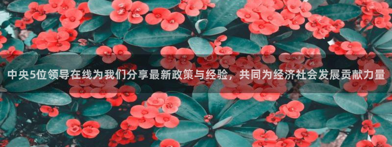 球友体育官网