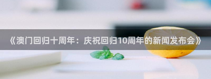 飞速直播足球直播nba直播吧：《澳门回归十周年：庆祝回归10周年的新闻发布会》
